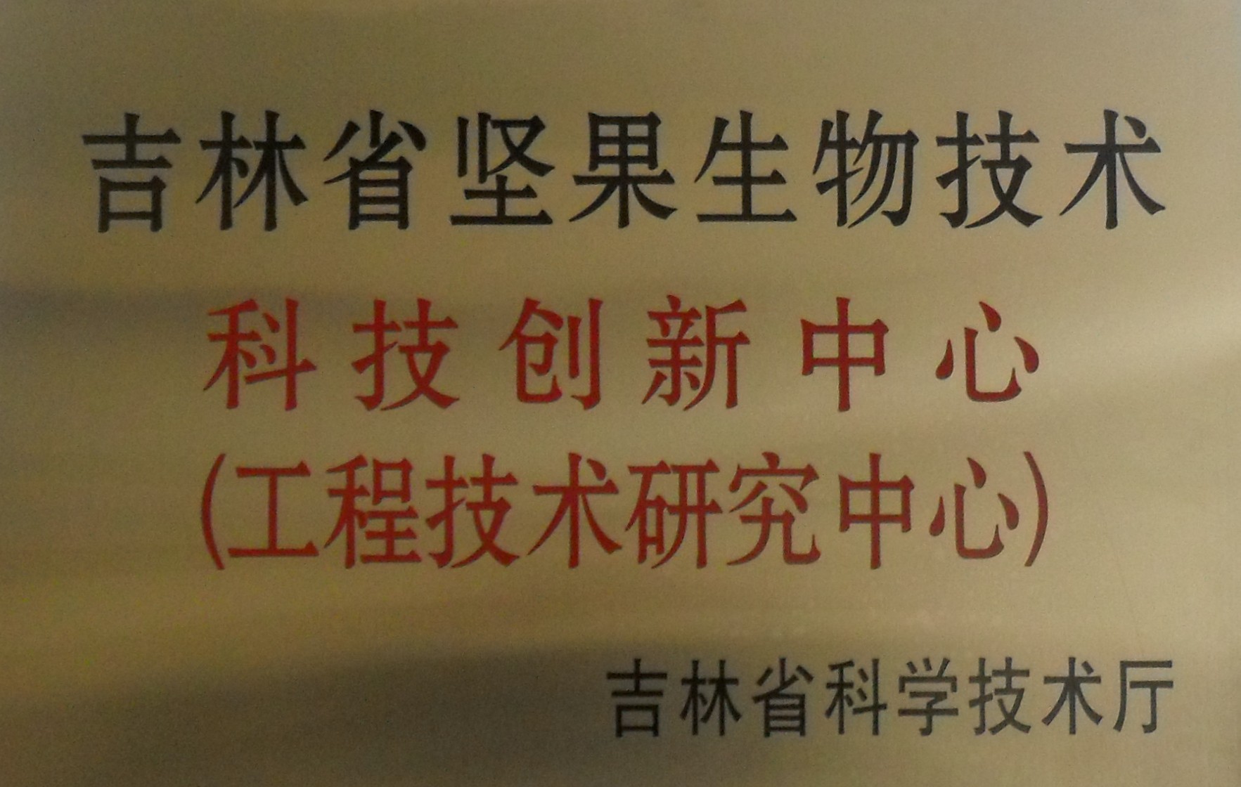 1578290049405125.jpg 201405300858004441.jpg